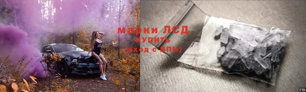 прущие грибы Абдулино